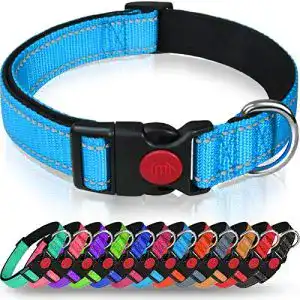 Hundehalsband taglory weich gepolstertes neopren nylon hunde 1