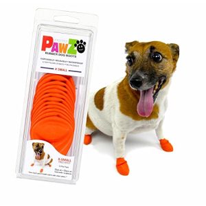 Hundeschuhe PAWZ PAWC-XSHundestiefel, orange