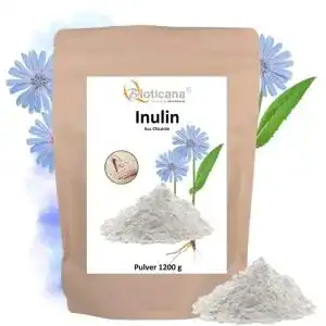 Inulin bioticana pulver 1200 g 12 kg aus chicoree wurzel