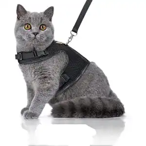 Katzengeschirr bella balu inkl leine 1