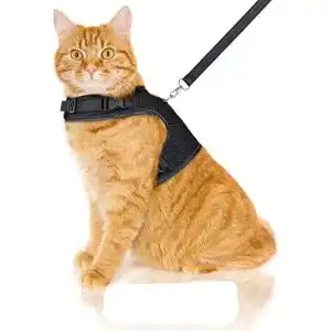 Katzengeschirr bella balu inkl leine