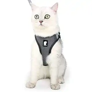 Katzengeschirr lianzimau und leine ultraleicht fuer fluchtschutz