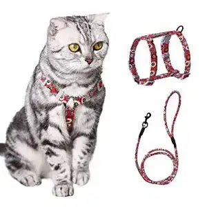 Katzengeschirr pettom blumenmuster mit leine katzenleine mit geschirr