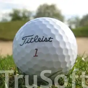 Lakeballs easy lakeballs 50 titleist trusoft golfbaelle