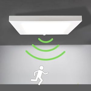 LED ceiling light with motion detector