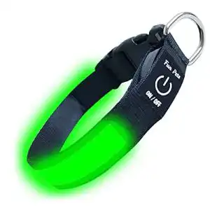 Leuchthalsband hund fun pets led hundehalsband in gruen