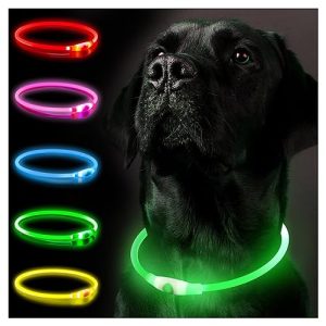 Leuchthalsband Hund SerDa-Run, Hundehalsband Leuchtend
