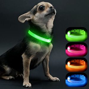 Leuchthalsband Hund Visinite, Wasserdicht, Verstellbar, USB