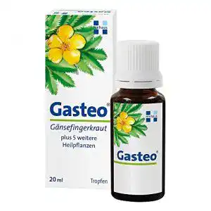 Magentropfen gasteo 6 einzigartige magen darm heilpflanzen 1