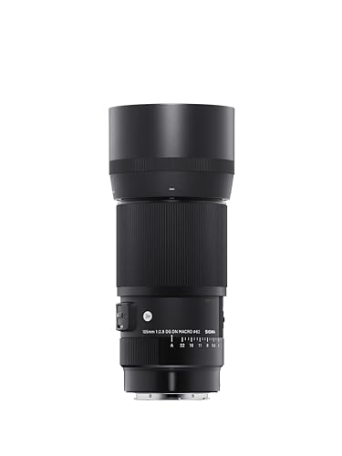 Makroobjektiv Sigma 105mm F2,8 DG DN Macro Art für Sony-E