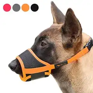 Maulkorb fuer hunde heele nylon verstellbare schlaufe