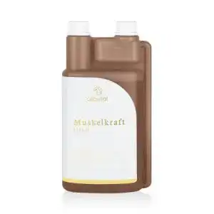 Muskelaufbau pferd zusatzfutter alpurial muskelkraft