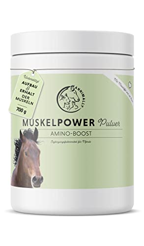 Muskelaufbau-Pferd-Zusatzfutter Annimally Muskelaufbau Pulver