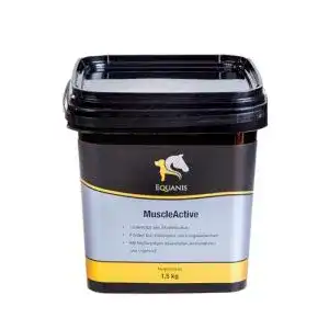 Muskelaufbau pferd zusatzfutter equanis muscleactive unterstuetzt