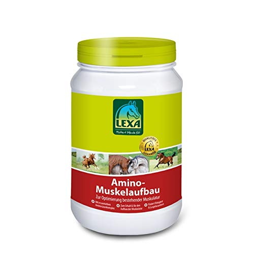 Muskelaufbau-Pferd-Zusatzfutter LEXA Amino-Muskelaufbau 3 kg Eimer - muskelaufbau pferd zusatzfutter lexa amino muskelaufbau 3 kg eimer