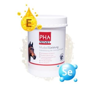 Muskelaufbau-Pferd-Zusatzfutter PHA PETVET PHA Muskel & Leistung