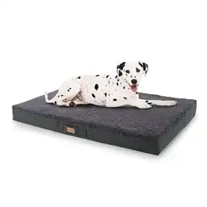 Orthopaedisches hundebett brunolie balu hundebett in grau