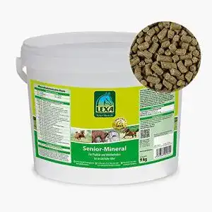 Pferdefutter Senior