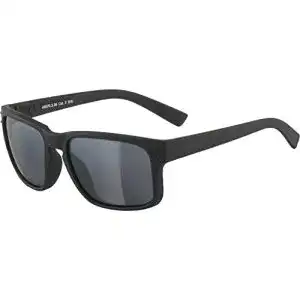 Polarisierte sonnenbrille alpina kosmic verspiegelte
