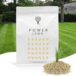 Lawn seed-quick germinating