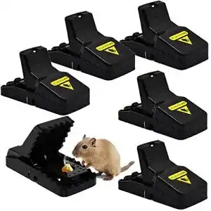 Rattenfalle todoxi mausefalle 6er set profi maeusefalle schlagfalle