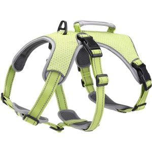 Dog safety harness