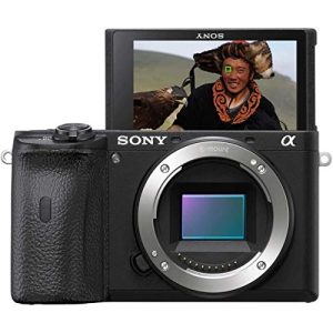 Sony-Systemkamera Sony Alpha 6600, APS-C Spiegellose Kamera