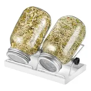 Sprossenglaeser ecooe sprossen keimglas 2er set keimglaeser