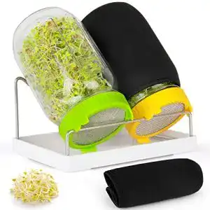 Sprossenglaeser kitmiido keimglas fuer sprossen keimgeraet