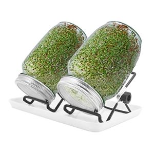 Sprout jars