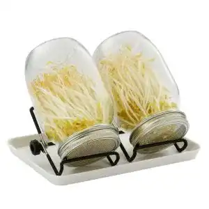 Sprossenglaeser snader 2x 950ml sprossenglas keimglas 3er set