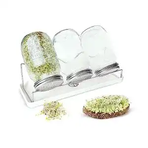 Sprossenglaeser vestahome sprossenglas keimglas set 3er pack