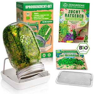 Sprossengläser zengreens, Bio Sprossenglas im 1er, 2er, 3er Set