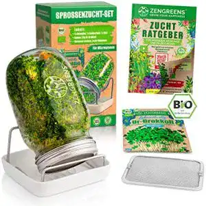 Sprossenglaeser zengreens bio sprossenglas im 1er 2er 3er set
