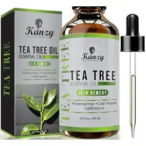 Teebaumoel kanzy hair and beauty kanzy bio naturrein 60ml