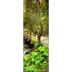 Tuertapete wandmotiv24 waldweg mit bach 70 x 200cm b x h