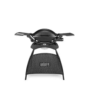 Weber gasgrill weber q2000 gasgrill 55 x 39 cm mit standfuss