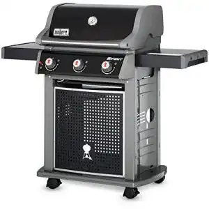 Weber-Gasgrill
