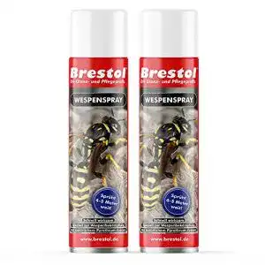 Wespenspray brestol 2x 400 ml wespen ex power spray