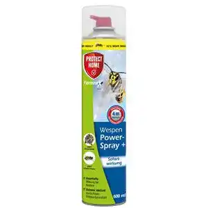 Wespenspray protect home forminex wespen powerspray