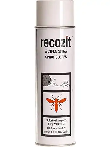 Wespenspray von Recozit 500 ml für effektiven Wespen-Schutz
