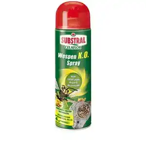 Wespenspray substral celaflor wespen k o spray gegen wespe