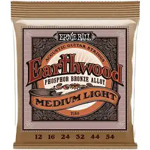 Westerngitarre saiten ernie ball earthwood medium light