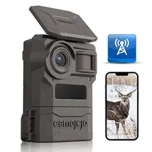 Wildkamera mit sim karte camojojo trace wildkamera handyuebertragung