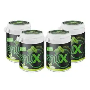 Xylit kaugummi kaux xylitol zahnpflege kaugummi o aspartam
