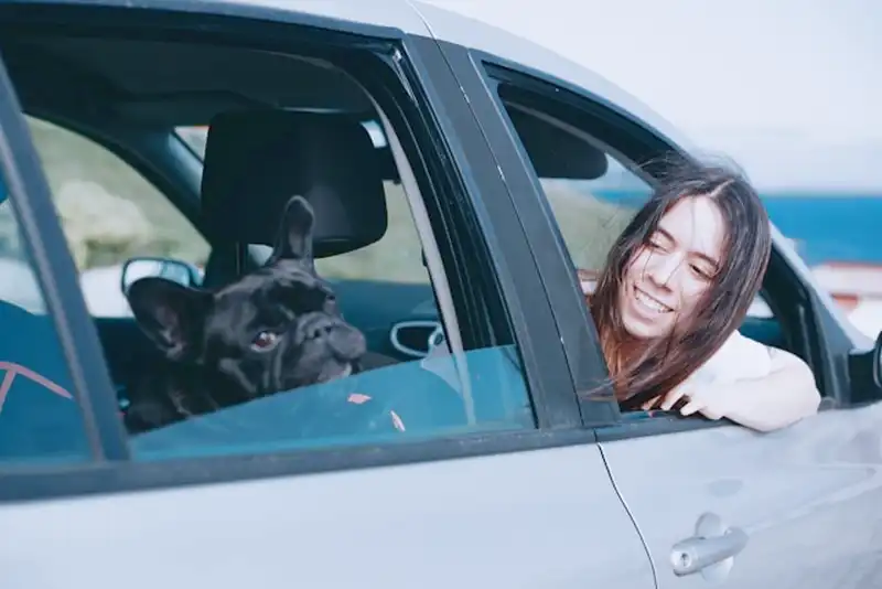 Hunde-Autositz
