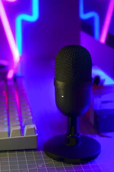 PC-Mikrofon_3