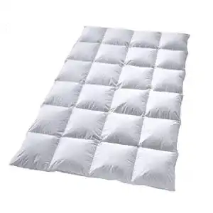 Bettdecke mit uebergroesse schaefer winter daunendecke 155x220 1