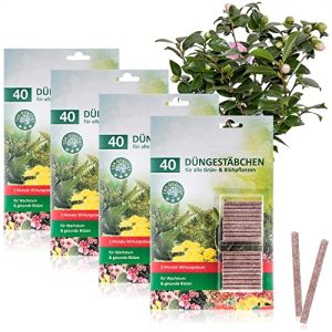 Blumendünger com-four ® 160x Düngestäbchen für Grünpflanzen - blumenduenger com four 160x duengestaebchen fuer gruenpflanzen