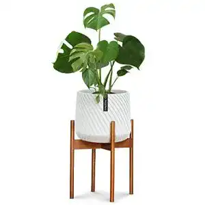 Blumenstaender fox fern pflanzenstaender plant stand l